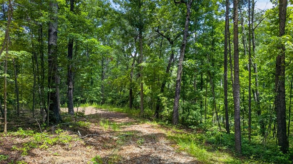 2022 Pleasant Union Road Canton, GA 30114 - Photo 4 of 17