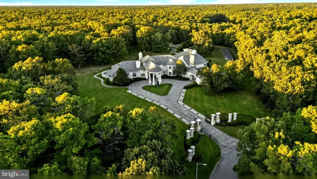 an aerial view of a residential houses with outdoor space and trees all around
