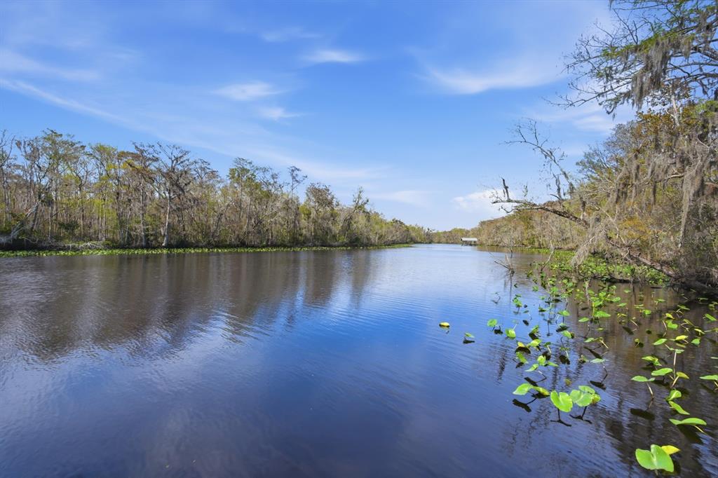 6595 Collier Road St. Augustine, FL 32092 - Photo 86 of 98