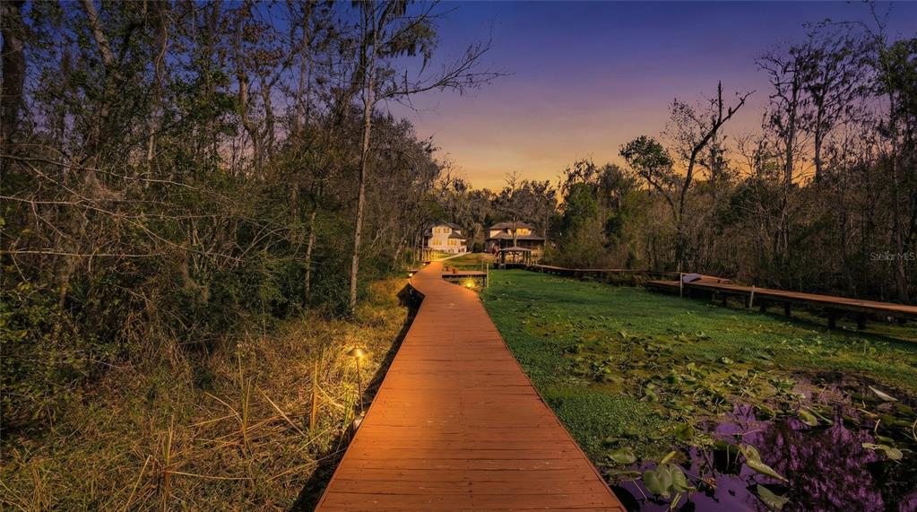 6595 Collier Road St. Augustine, FL 32092 - Photo 88 of 98 a view of park with large trees