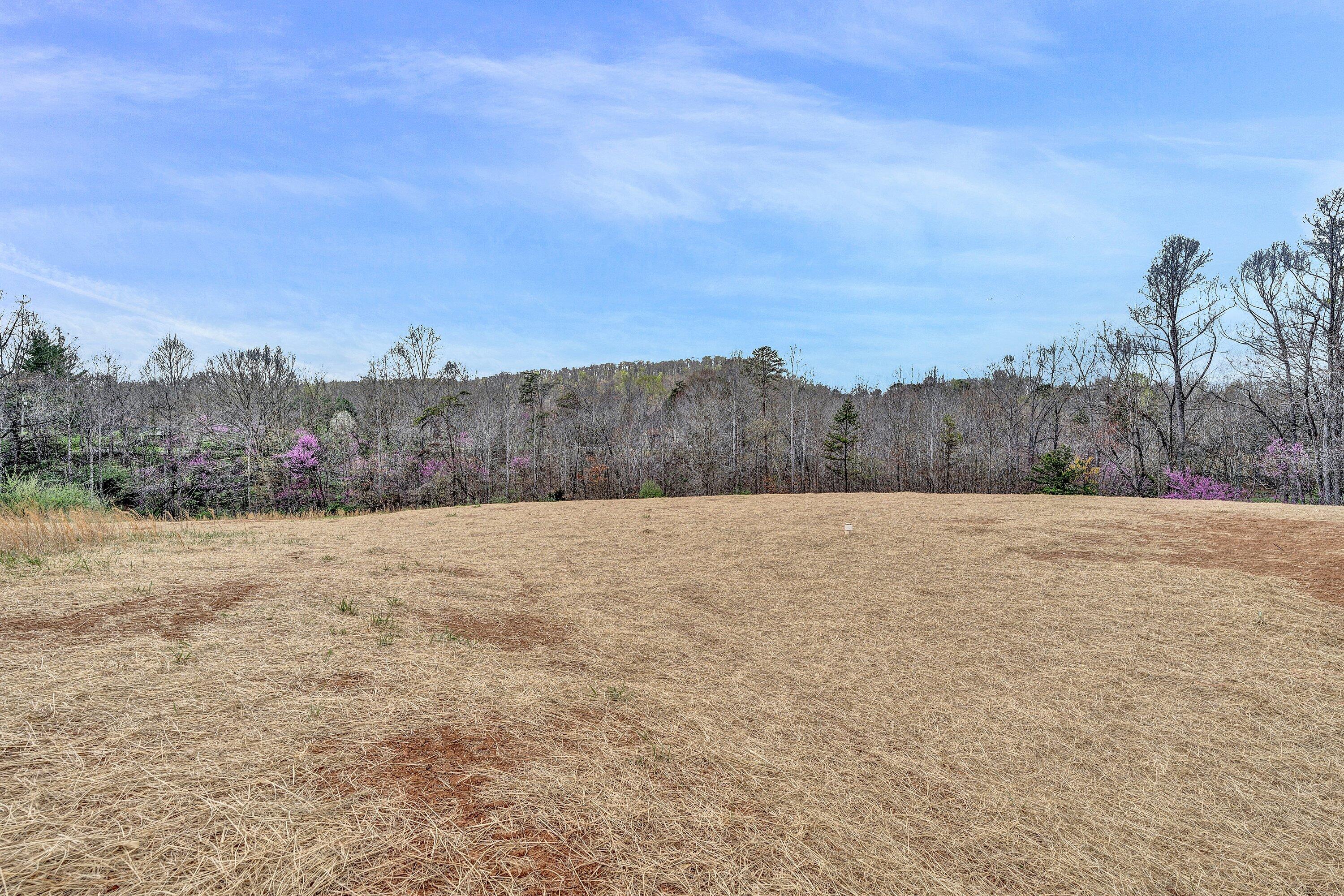 6507 Goodview Road Goodview, VA 24095 - Photo 24 of 28 a view of a terrace view