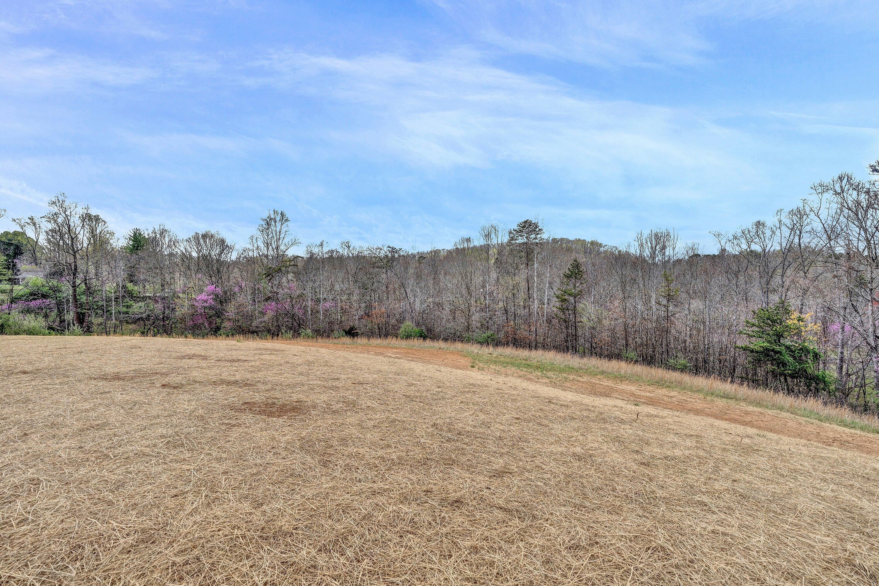 6507 Goodview Road Goodview, VA 24095 - Photo 25 of 28 a view of an outdoor space with mountain view