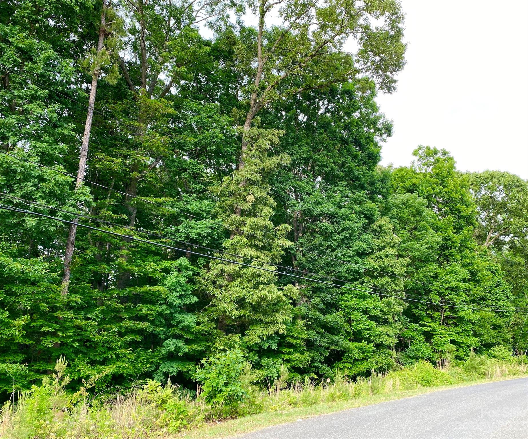 8720 Vagabond Road Charlotte, NC 28227 - Photo 1 of 3 a view of a lush green forest