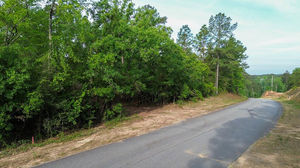 0 Mt Zion Road, Unit 5 Trenton, SC 29847 - Photo 26 of 26