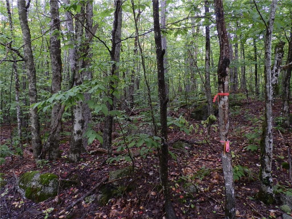 0 Wards Road Ellsworth, ME 04605 - Photo 18 of 29 Photo