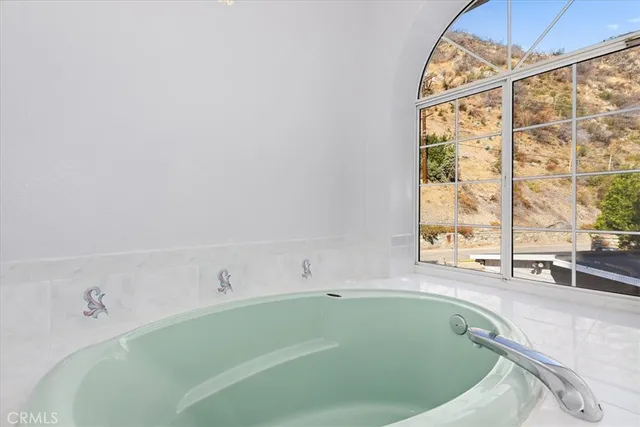 a view of a yard with plants and trees