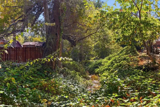 a view of a lush green forest