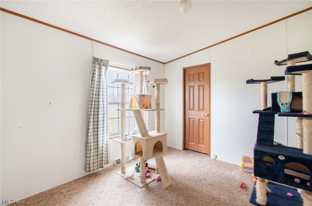10135 Williams Road Diamond, OH 44412 - Photo 21 of 30 Recreation room with crown molding, and light carpet