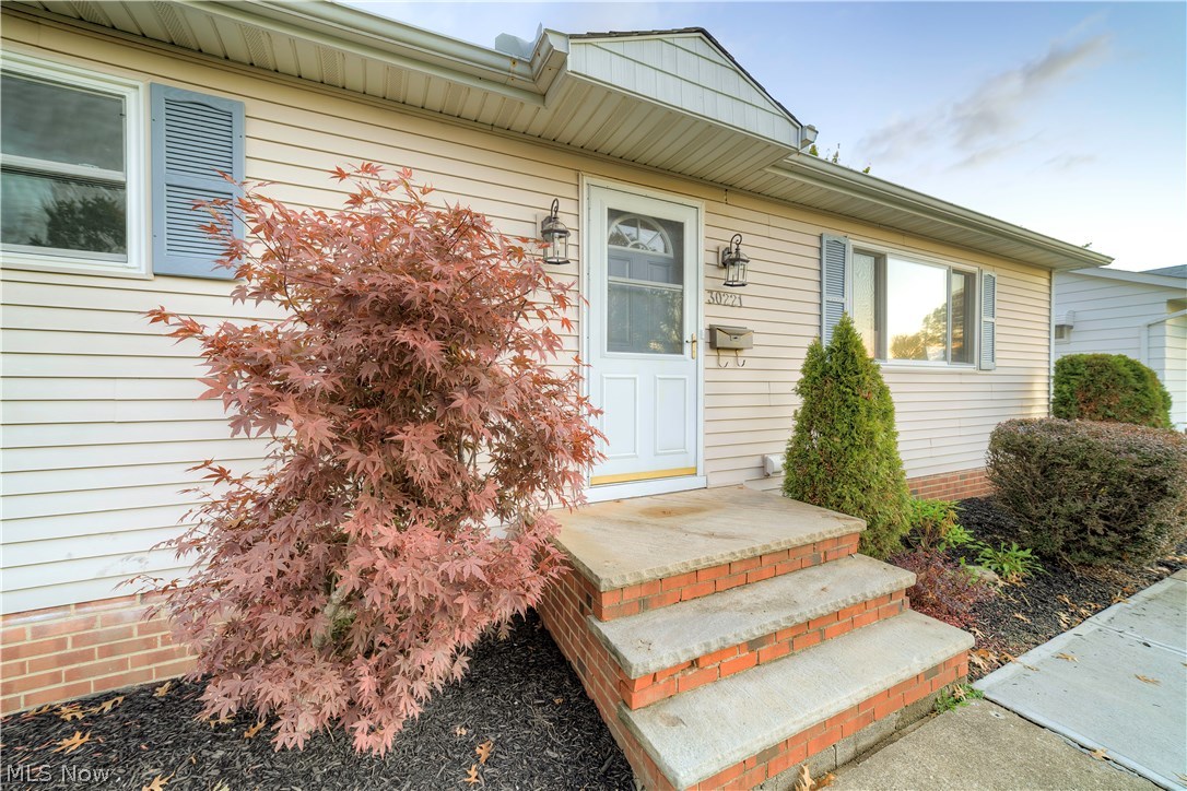 30221 Vineyard Road Willowick, OH 44095 - Photo 2 of 25