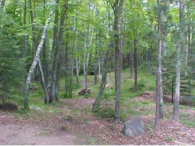Lot 2 Lot Road Tripoli, WI 54564 - Photo 1 of 20 Gallery Image 1