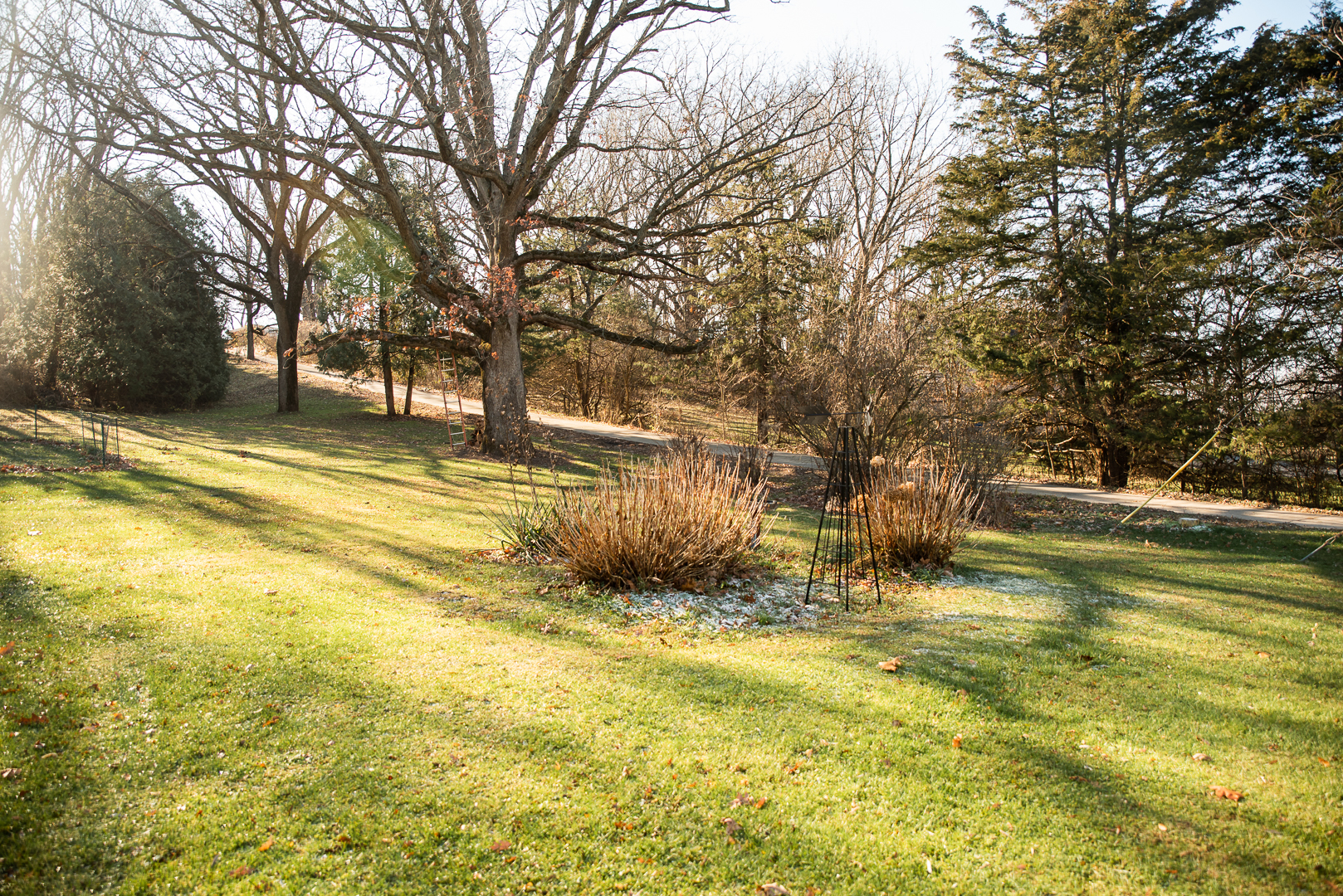 913 Stony Point Road Dixon, IL 61021 - Photo 17 of 19 Gallery Image 17