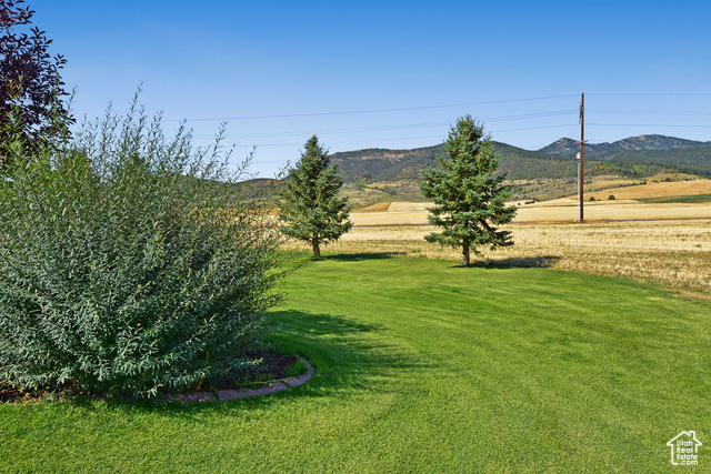 1500 Fish Creek Road Bancroft, ID 83217 - Photo 36 of 45 View of grassy yard featuring a mountain view and a rural view