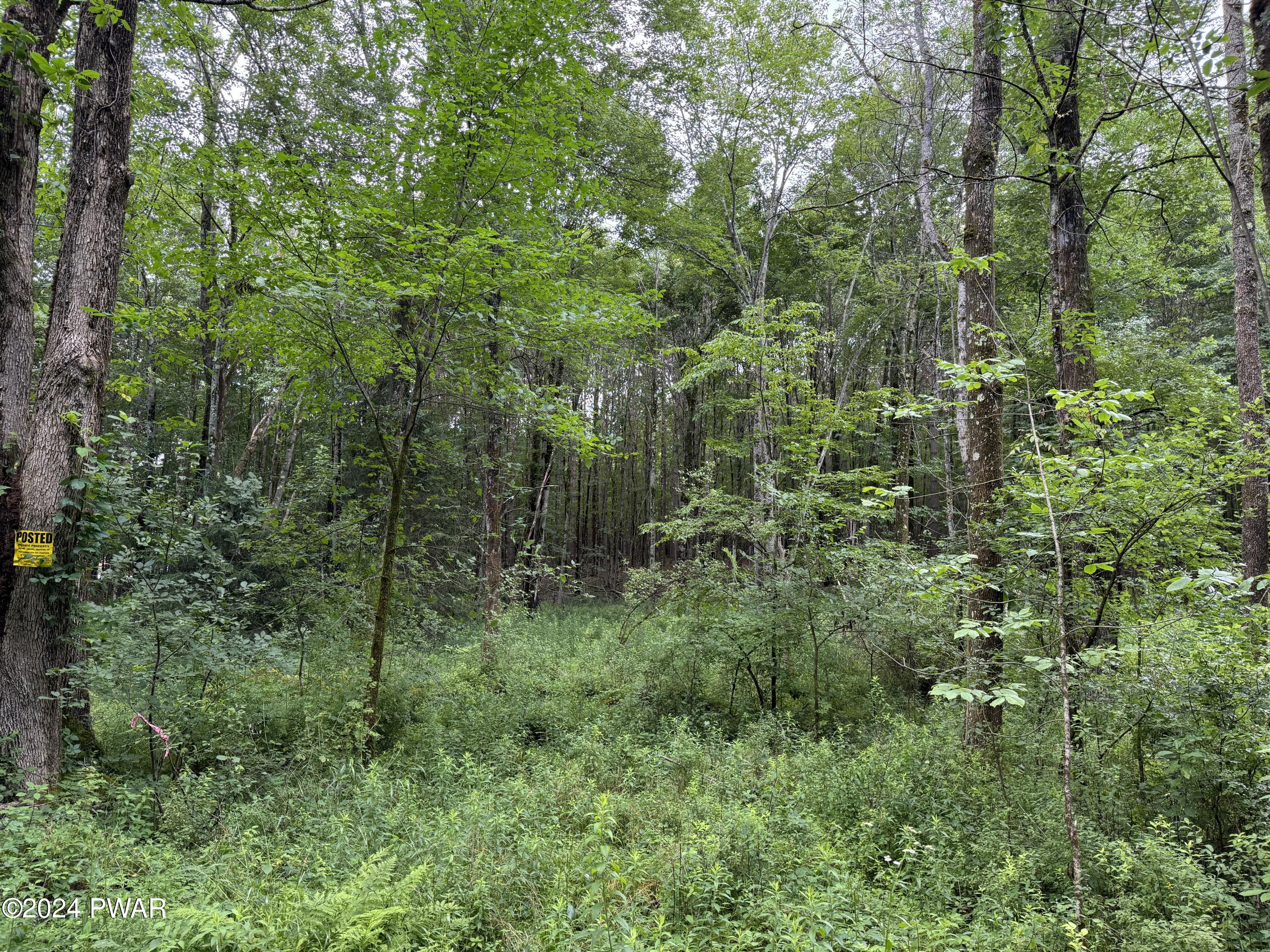 Upper Woods Road Pleasant Mount, PA 18453 - Photo 5 of 10
