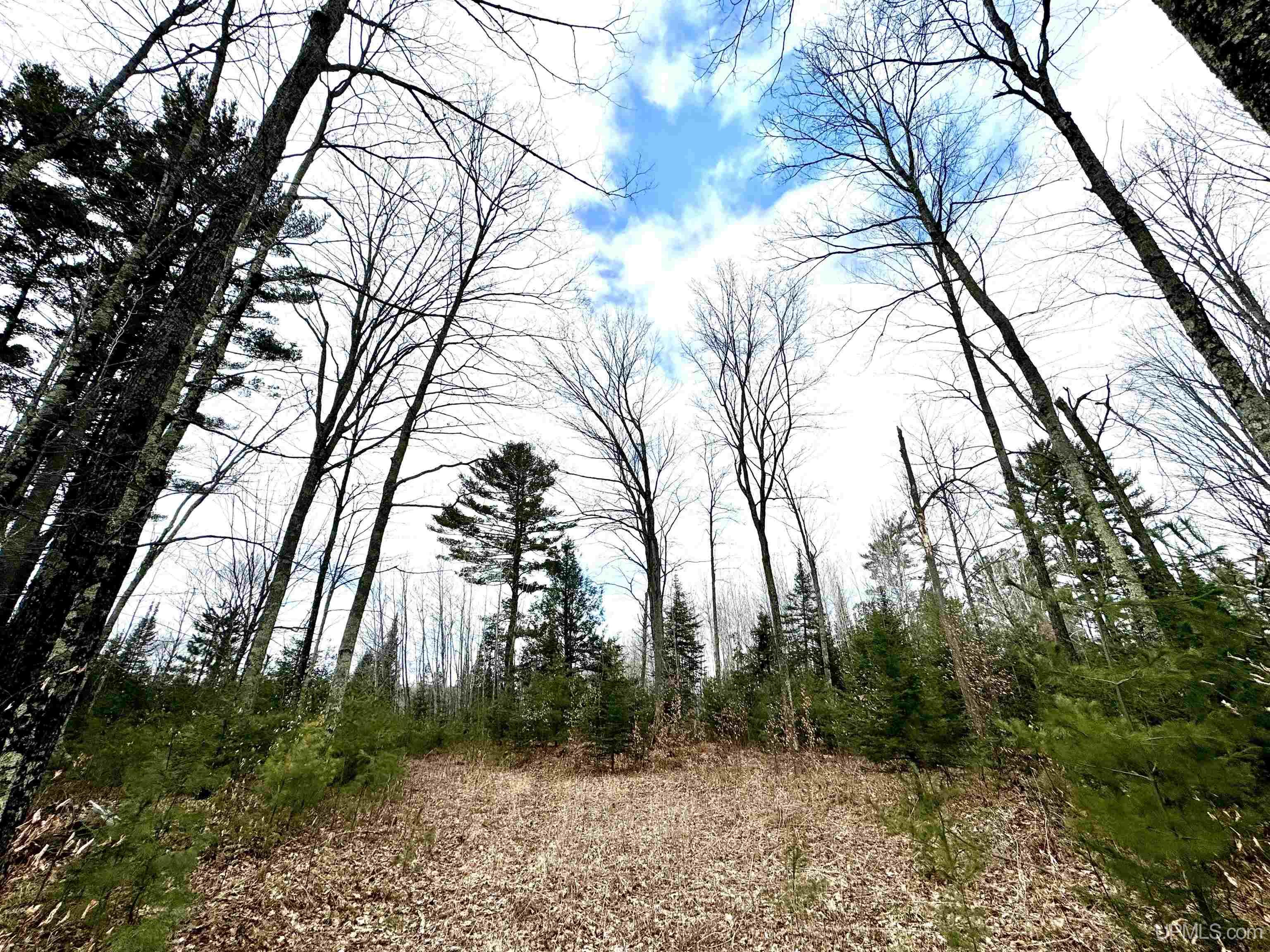 M69 Rd Perronville Mi 49873 Road Perronville, MI 49873 - Photo 1 of 41