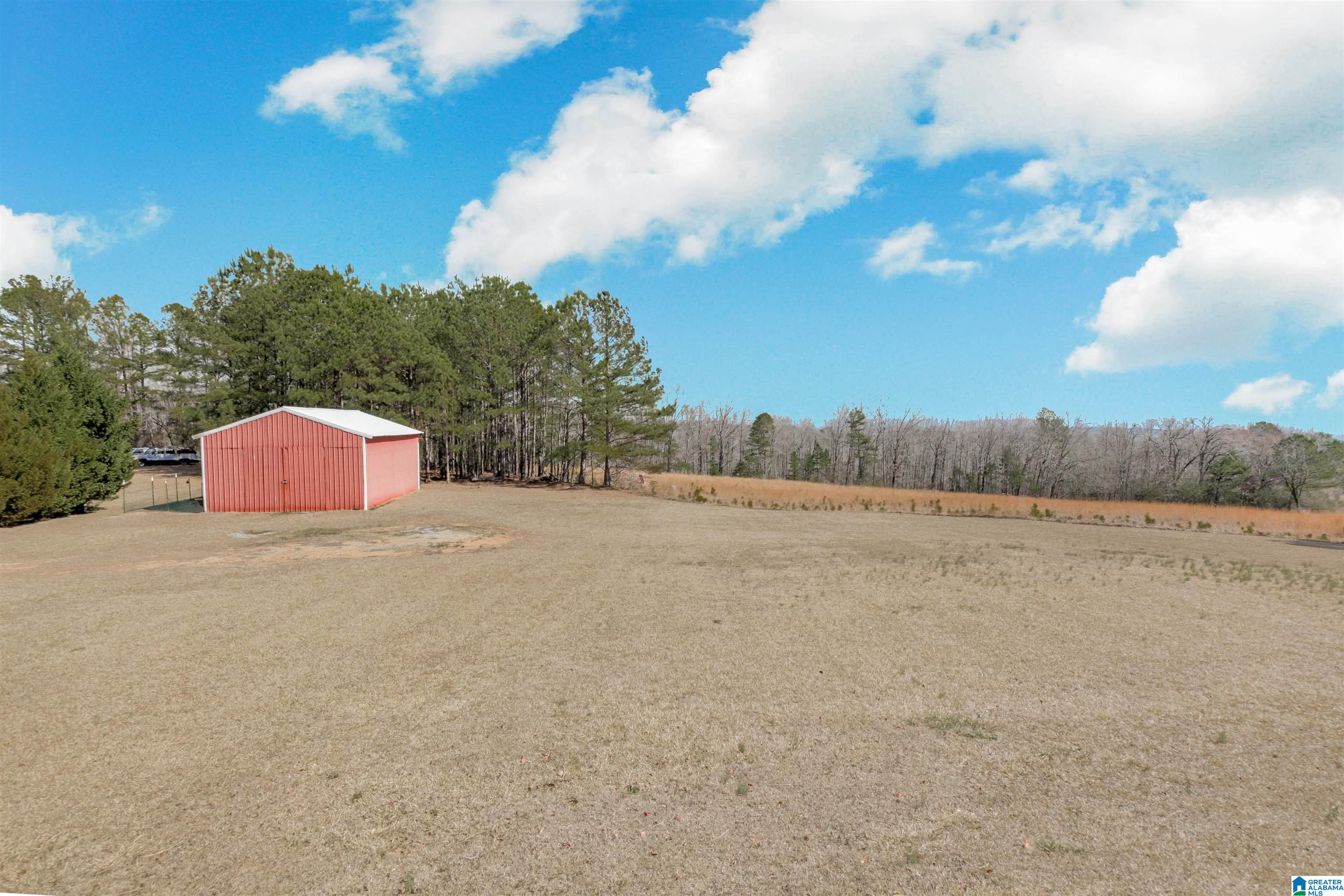 1190 Chaley Springs Road Hayden, AL 35079 - Photo 36 of 52