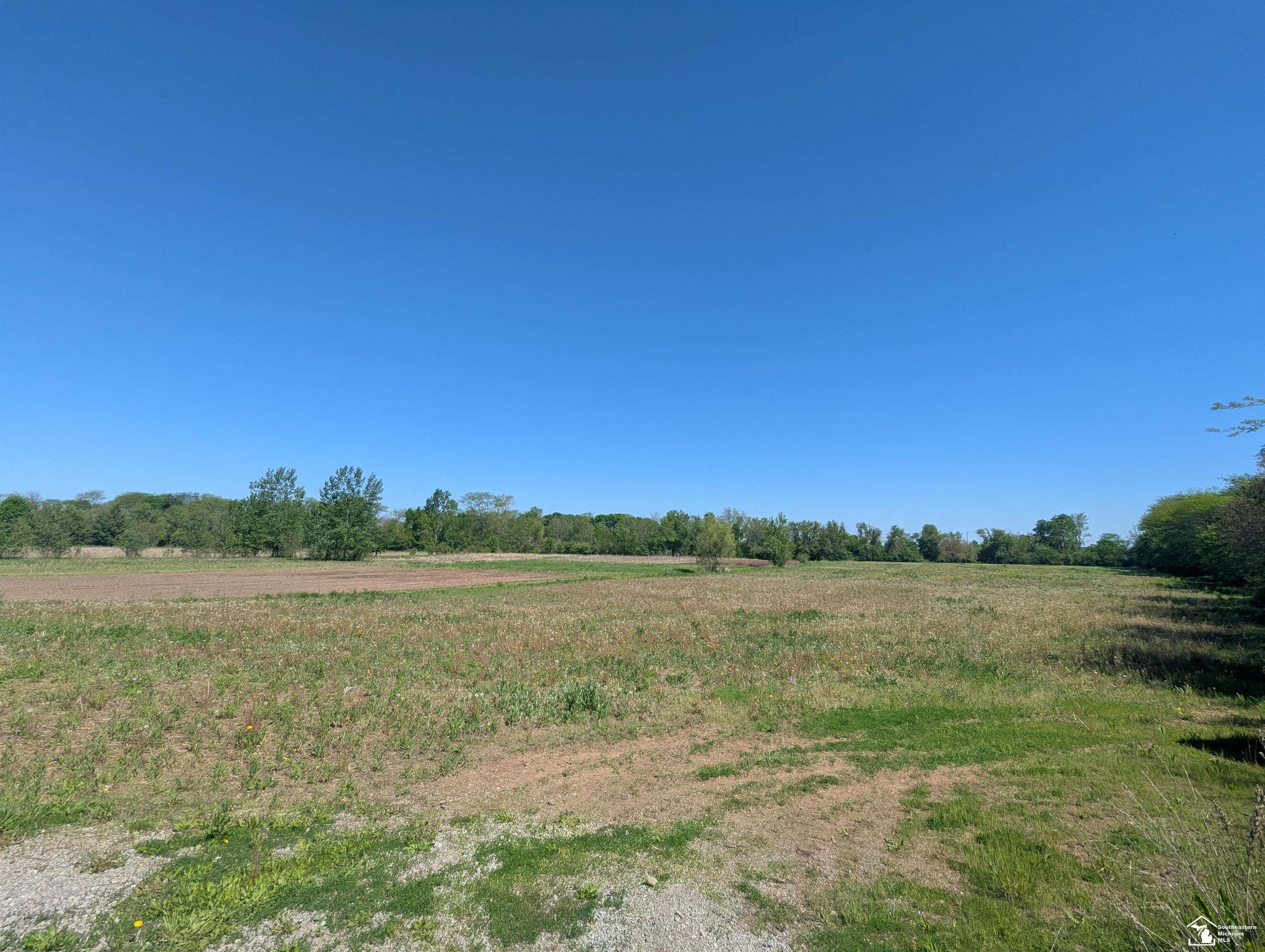 0 Dixon Road Monroe, MI 48161 - Photo 6 of 8