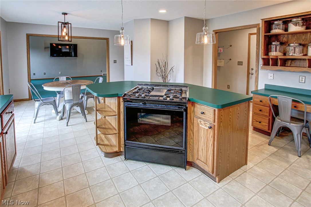 7699 Spieth Road Medina, OH 44256 - Photo 5 of 35 Gallery Image 5
