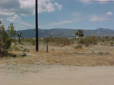 0 Danbury Road Pinon Hills, CA 92372 - Photo 1 of 1 a view of a road