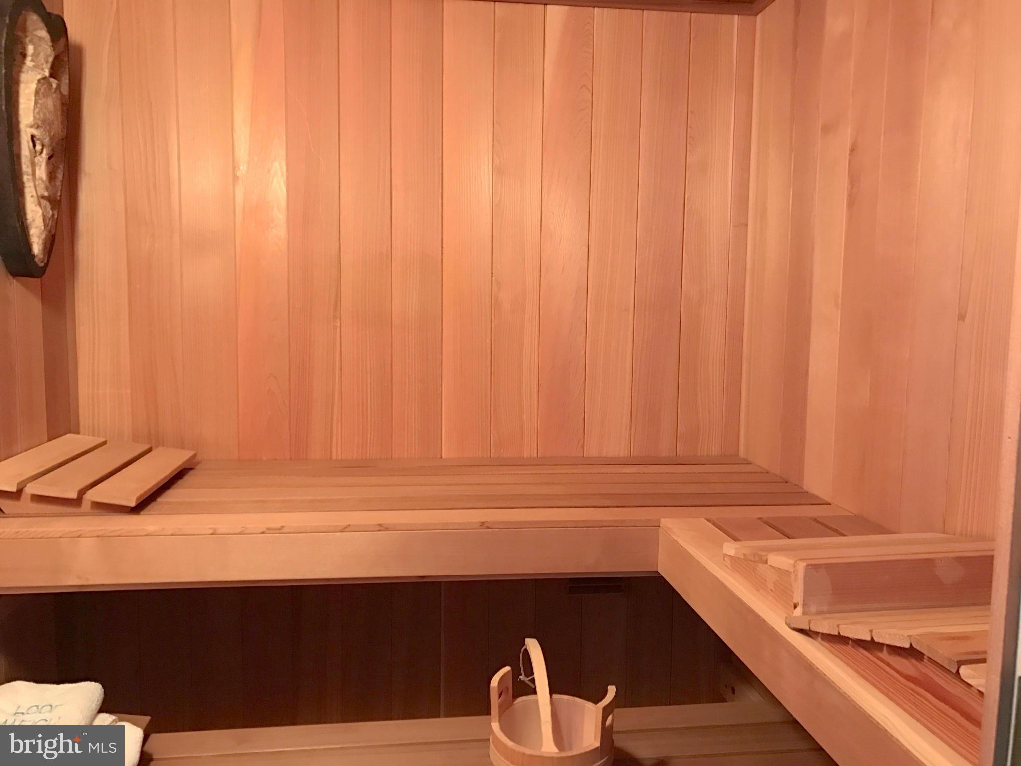 2927 Cox Neck Road East Chester, MD 21619 - Photo 22 of 30 Sauna - R E L A X