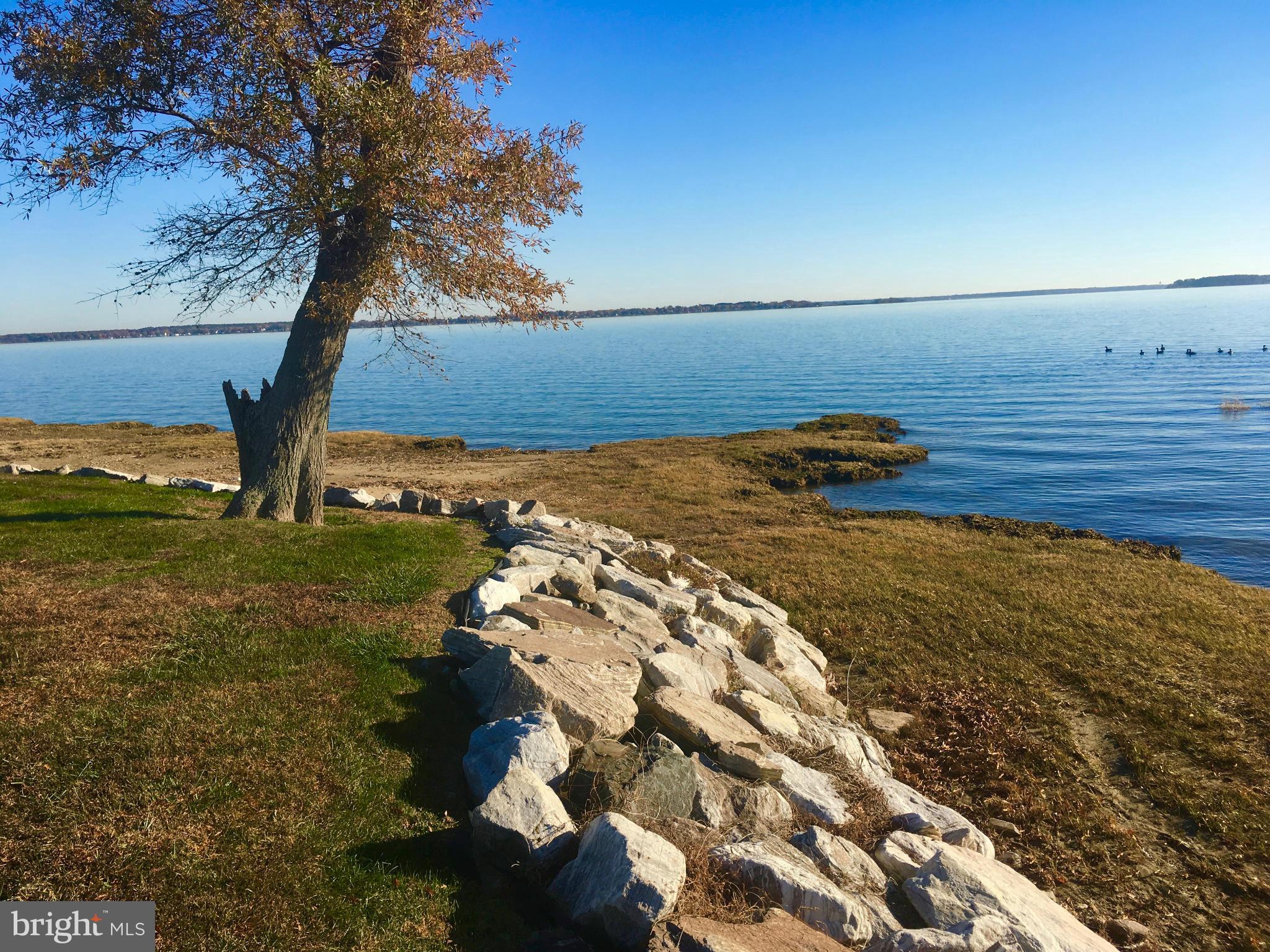 2927 Cox Neck Road East Chester, MD 21619 - Photo 8 of 30 300' of private waterfront!