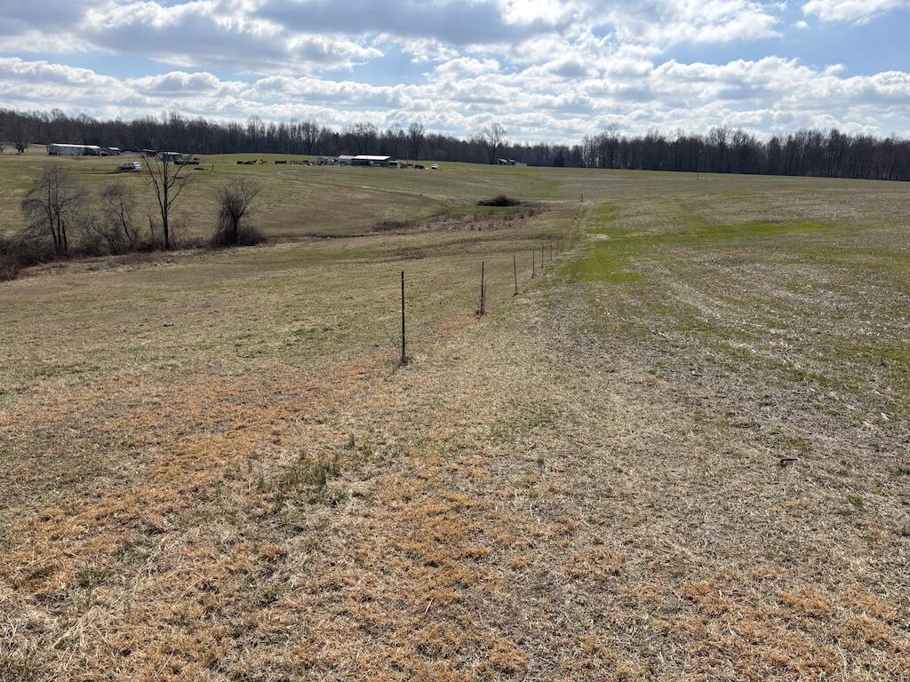 0 Allen Schoolhouse Road Columbia, KY 42728 - Photo 5 of 13 6