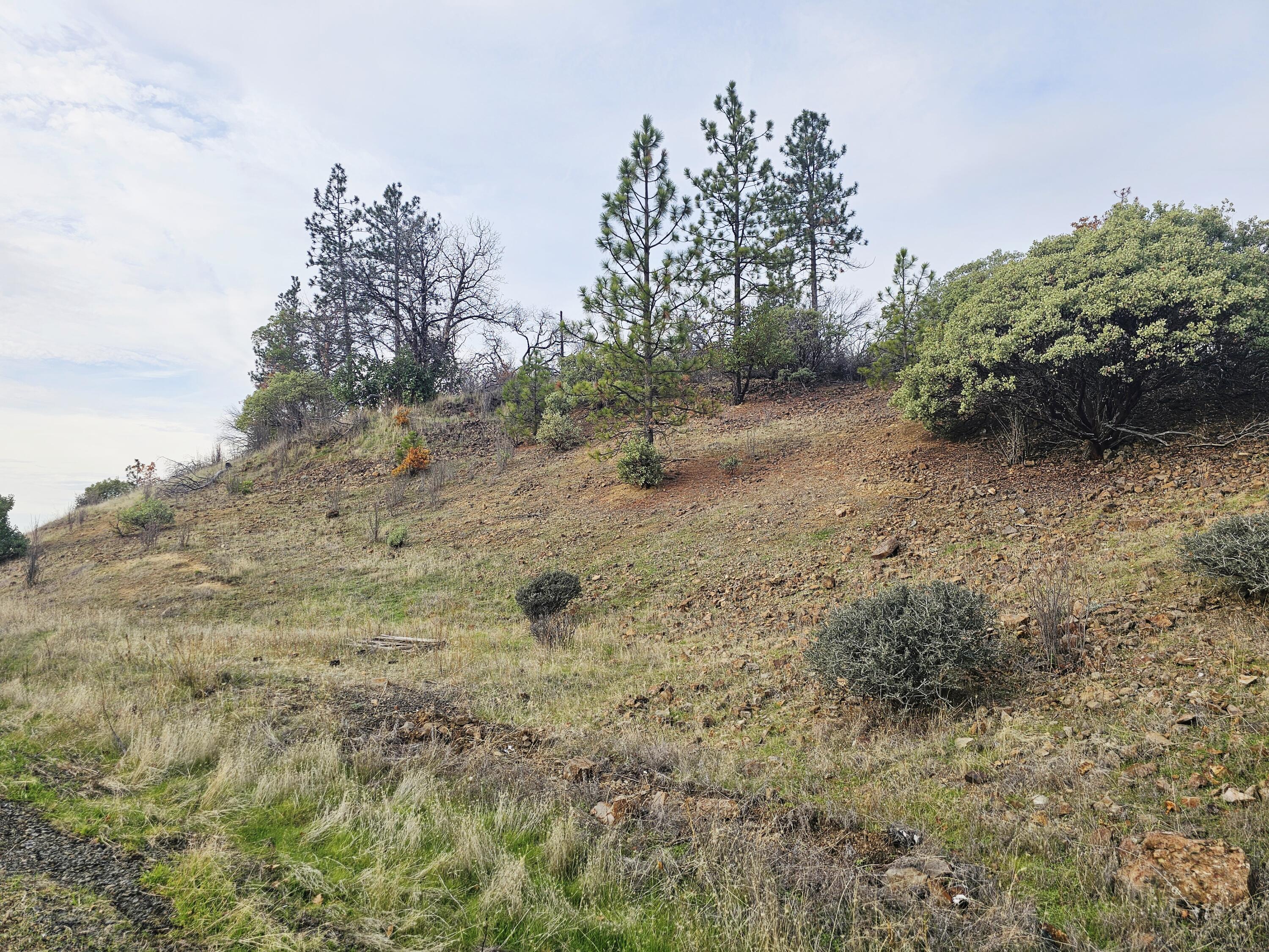 2162 Butte Falls Highway Eagle Point, OR 97524 - Photo 41 of 63 41