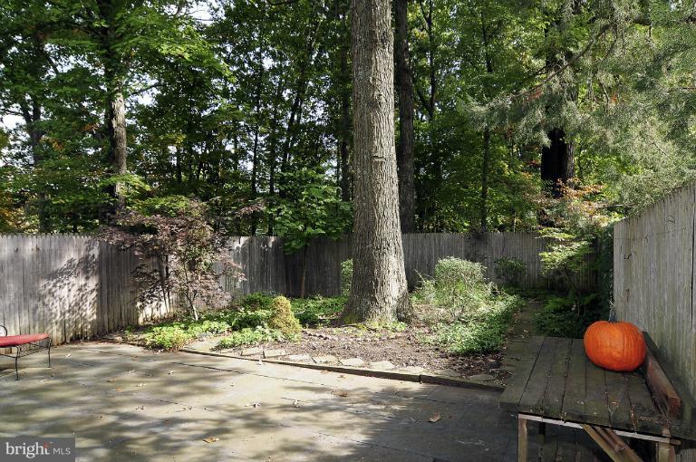 7946 Inverness Ridge Road Potomac, MD 20854 - Photo 20 of 25 a backyard of a house with lots of green space