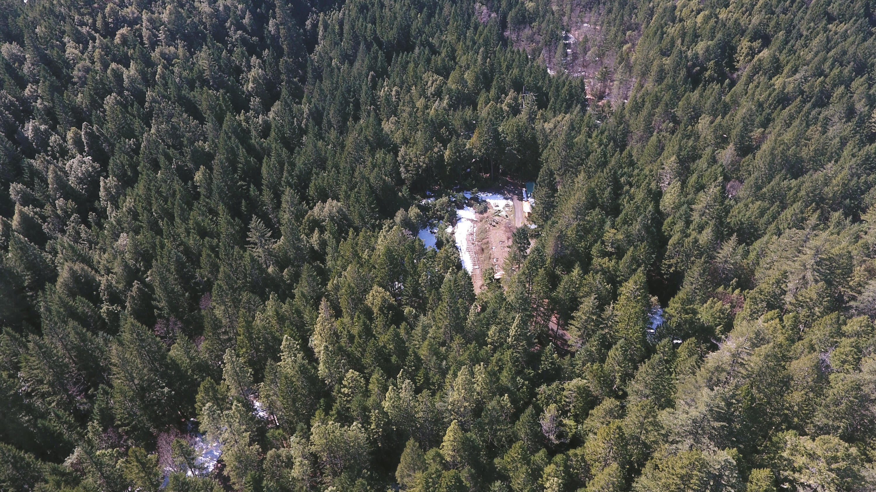 1313 Waldo Road Cave Junction, OR 97523 - Photo 25 of 26 DJI_0001