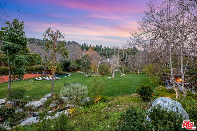 a view of a garden with large trees