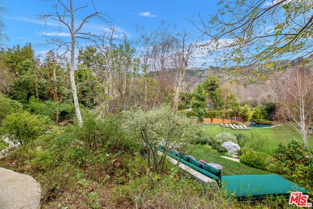 a view of a garden with a tree