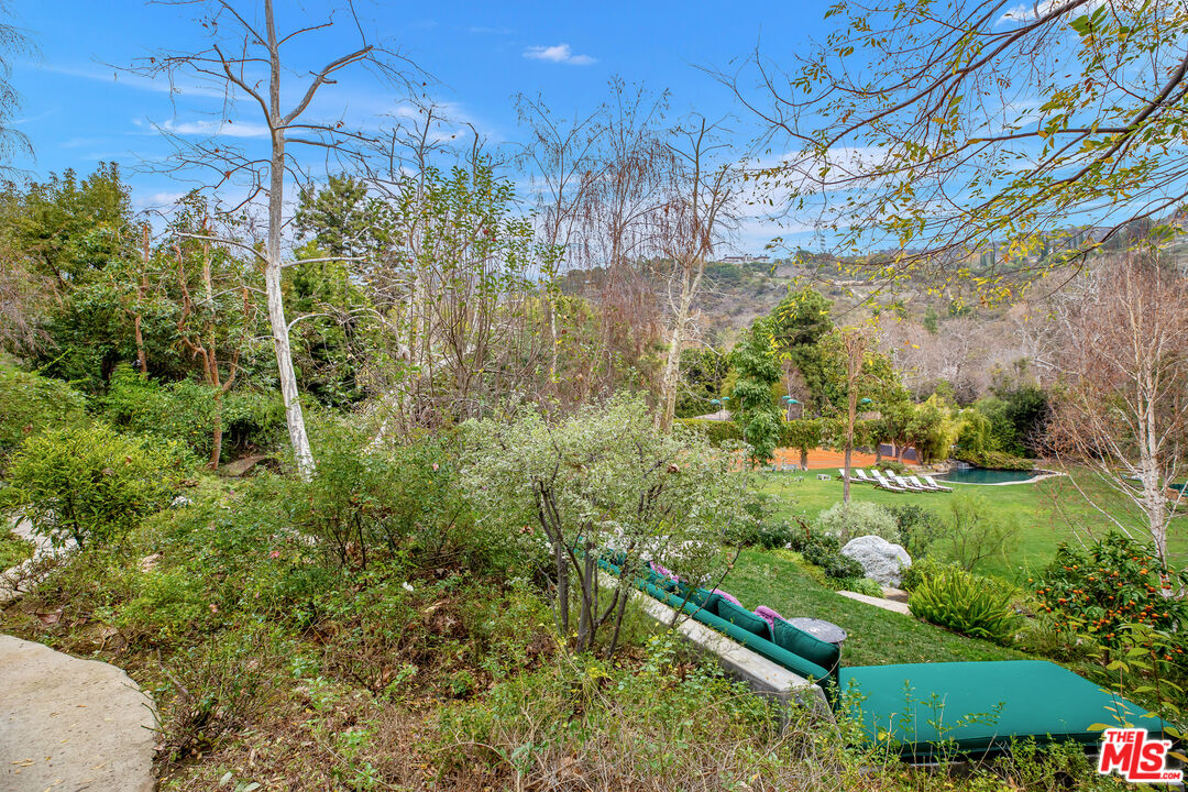 2383 Mandeville Canyon Road Los Angeles, CA 90049 - Photo 12 of 51 a view of a garden with a tree