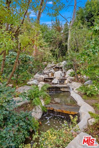 a view of a yard with plants