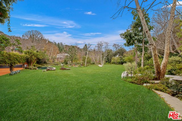 a view of a garden with an trees