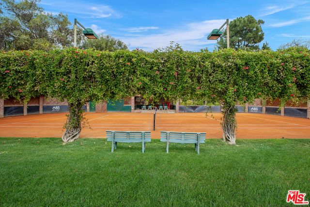 a park view with a large trees and buildings