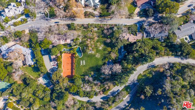 view of a bunch of flowers