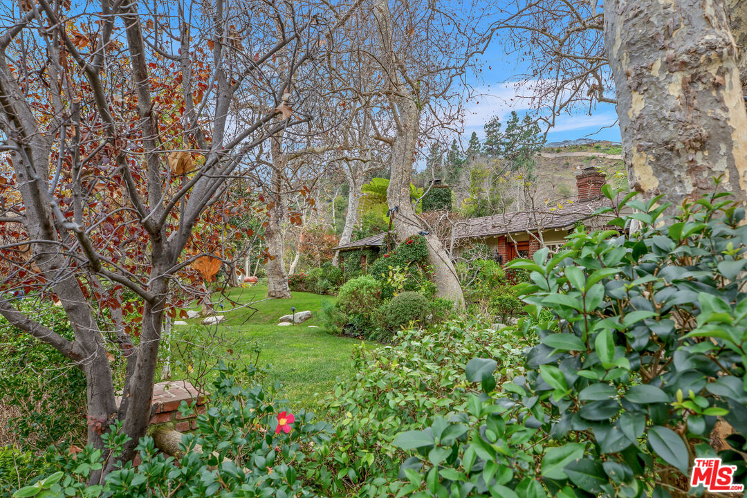 2383 Mandeville Canyon Road Los Angeles, CA 90049 - Photo 23 of 51 a backyard of a house with lots of green space