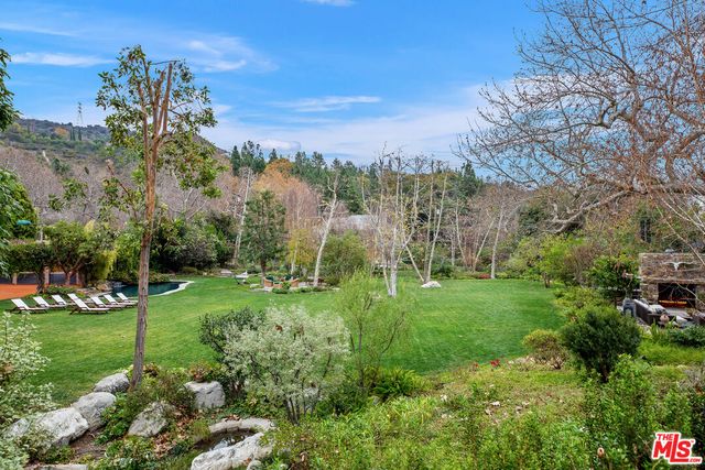 a view of a park with large trees