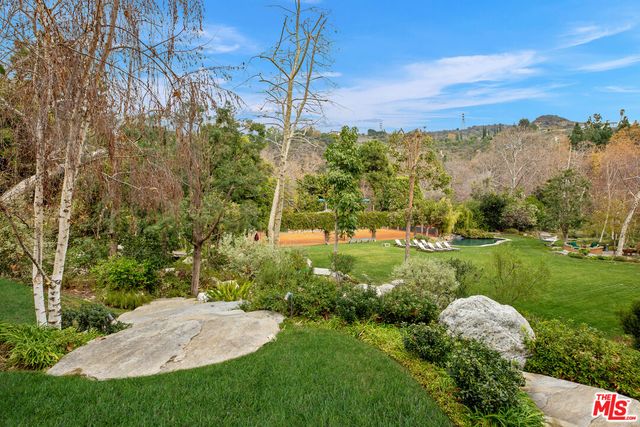 a view of a garden with an tree