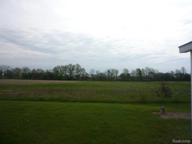 9967 Tangent Road Tecumseh, MI 49286 - Photo 8 of 10 View 2