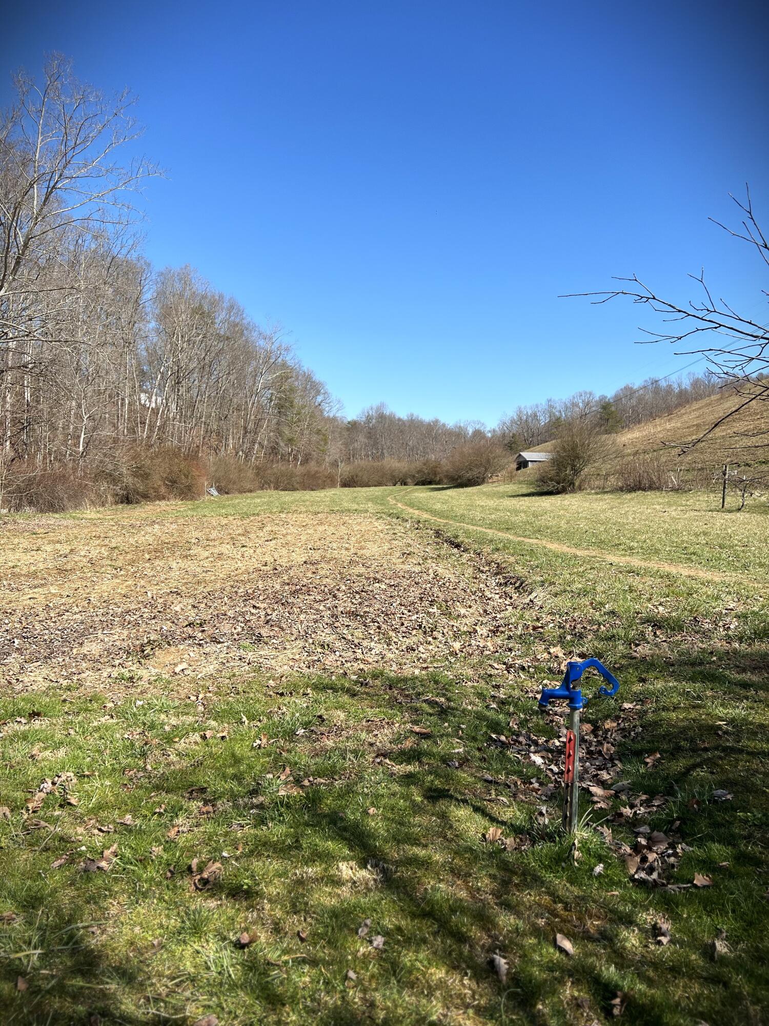 984 Dixon Branch Road London, KY 40741 - Photo 17 of 44 IMG_5430(1)