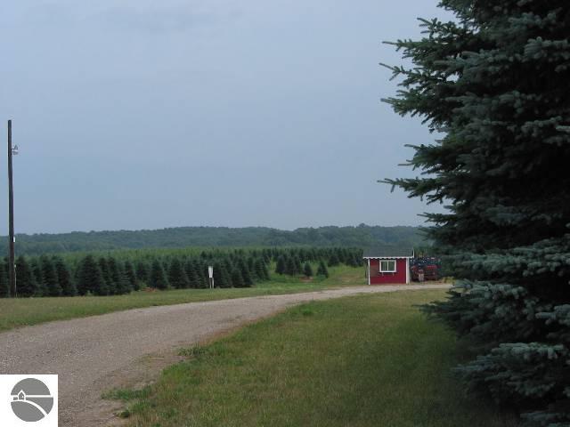 5719 Schneider Road Kingsley, MI 49649 - Photo 8 of 9 1651521-7.JPG
