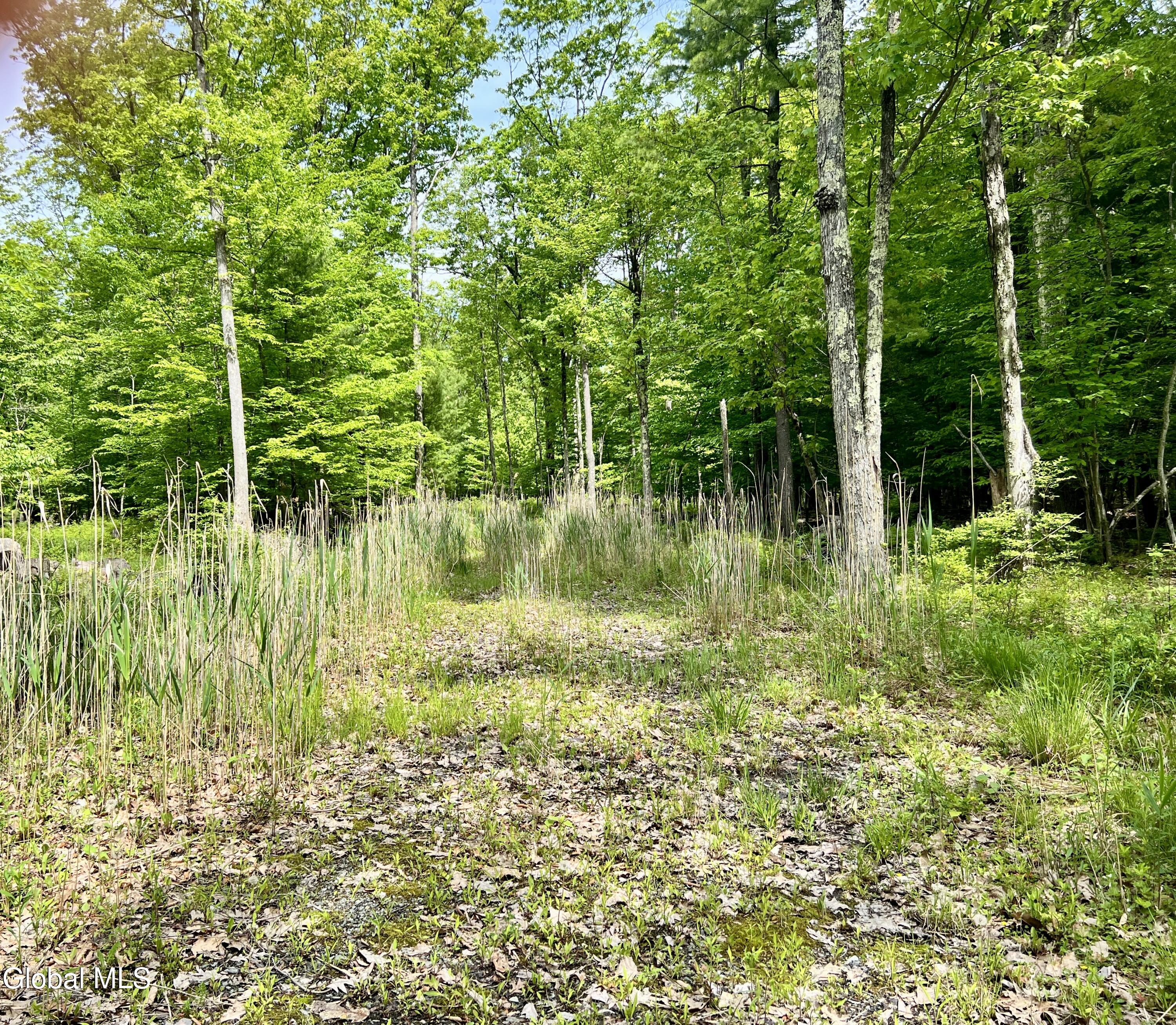 25 Catlin Road Poestenkill, NY 12018 - Photo 6 of 14 IMG_8984