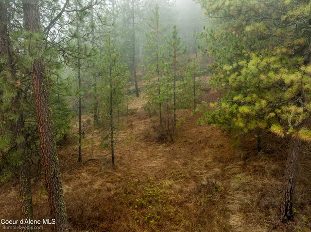 $130,000 | Nna Pleasants View Road, Blanchard, ID 83804