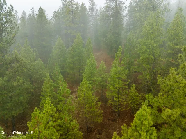 $130,000 | Nna Pleasants View Road, Blanchard, ID 83804