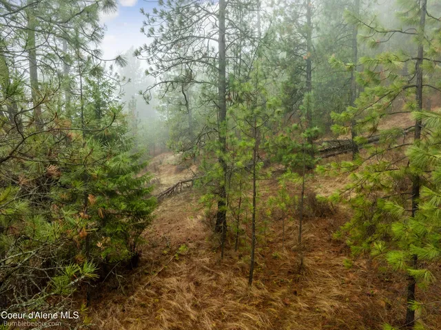 $130,000 | Nna Pleasants View Road, Blanchard, ID 83804