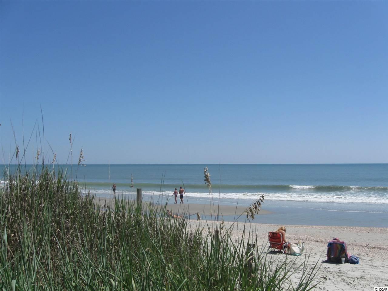 433 Cypress Avenue Murrells Inlet, SC 29576 - Photo 23 of 24 Gallery Image 23