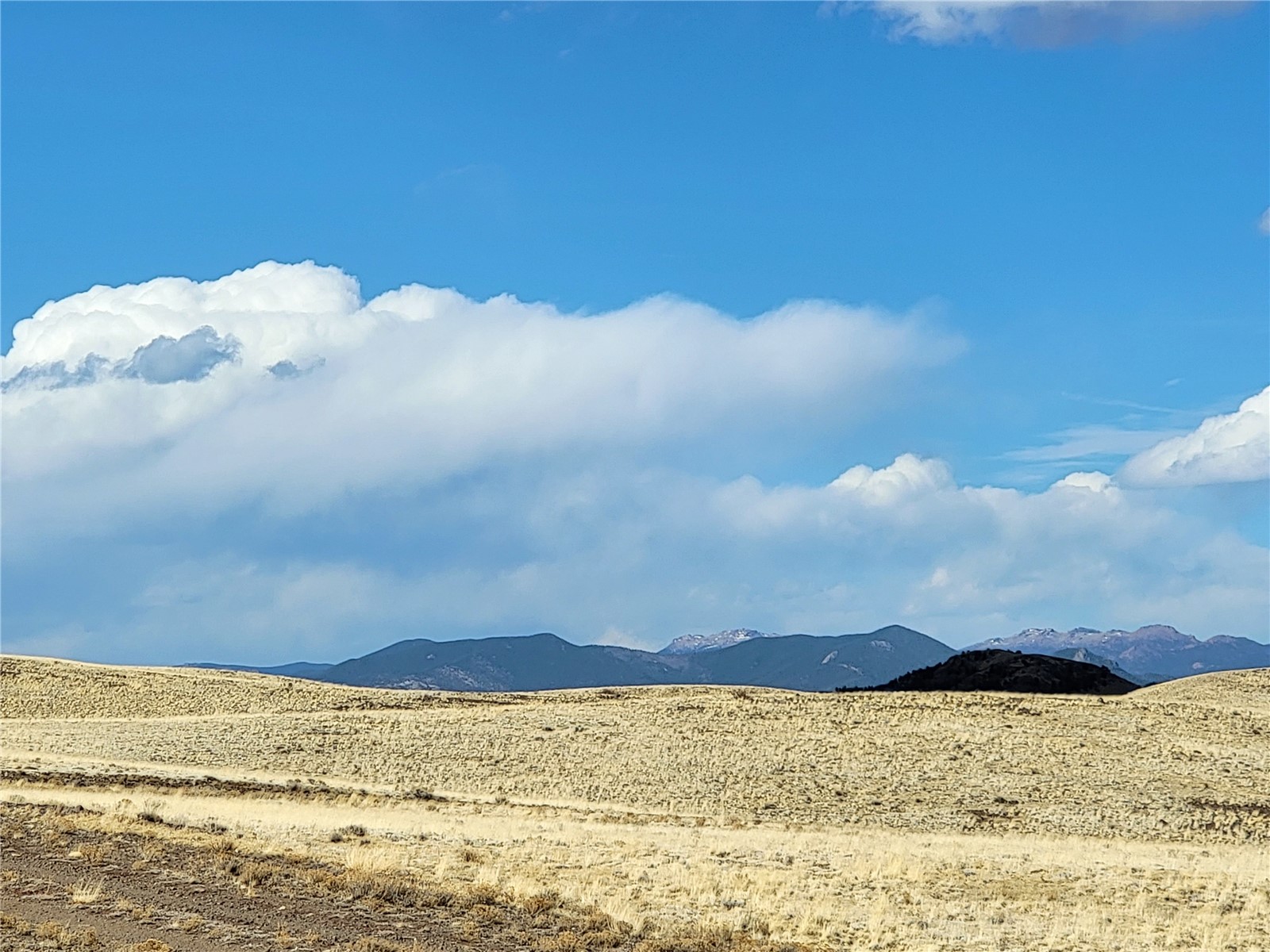 3999 Delaware Road Hartsel, CO 80449 - Photo 3 of 23 View of mountain background