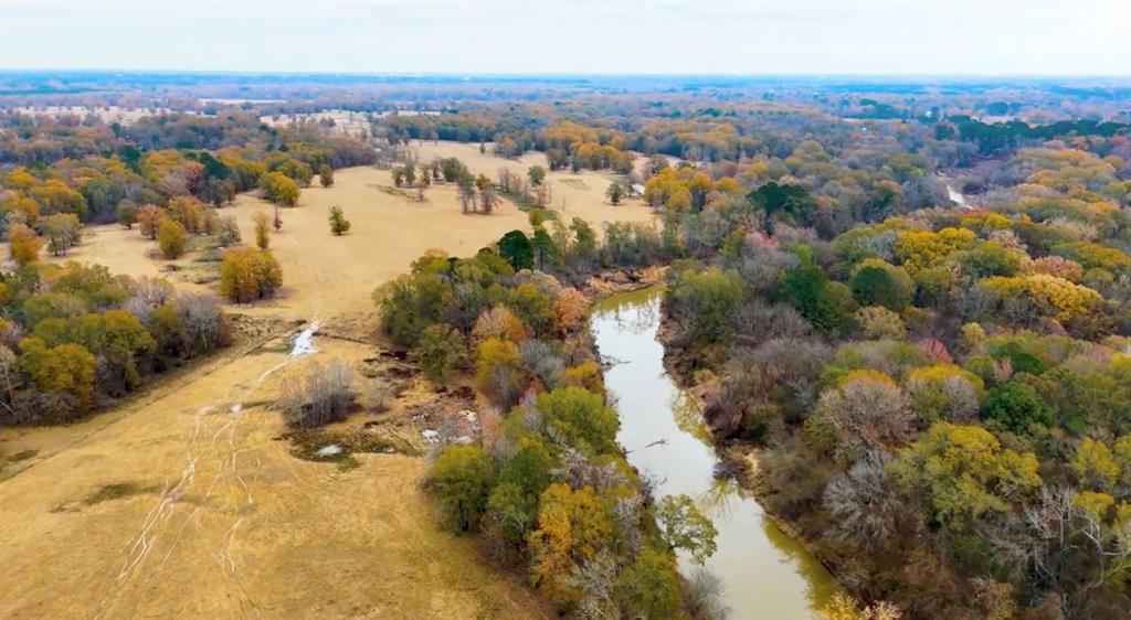 1 West Harrison Road Longview, TX 75604 - Photo 10 of 18 Pasture & Sabine River view