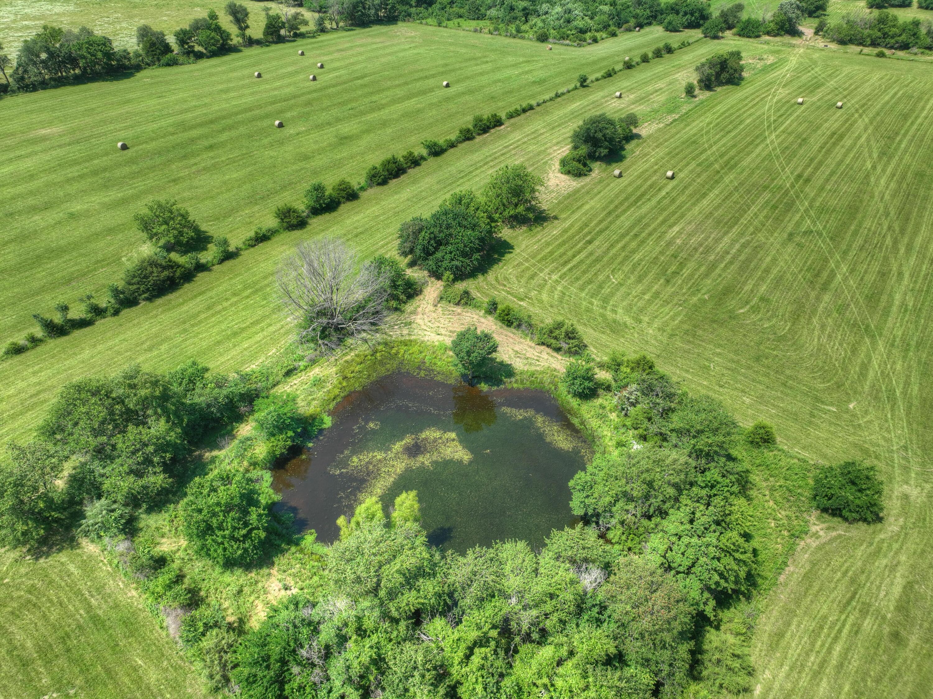 4601 Starling Road Pierce City, MO 65723 - Photo 72 of 84 072
