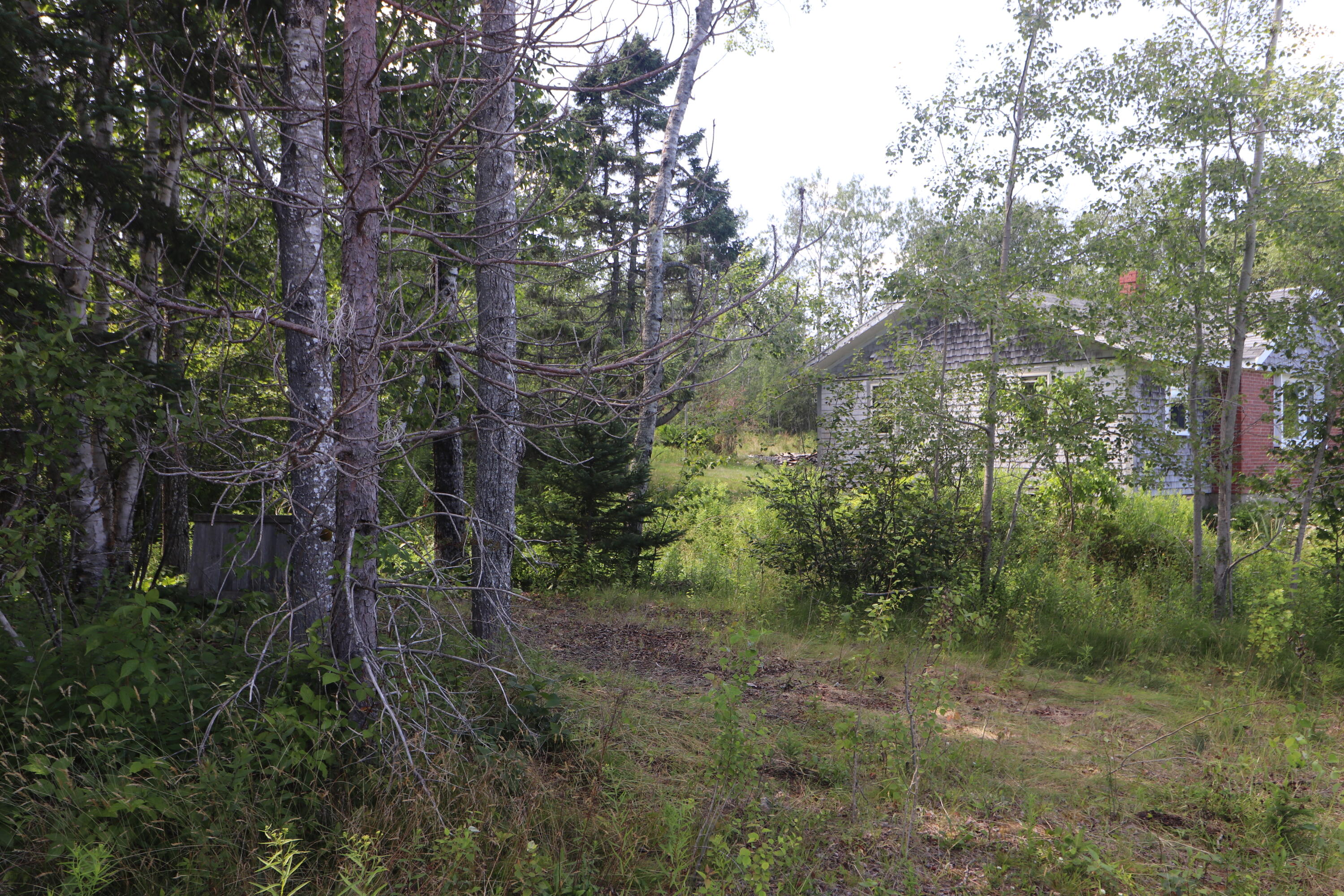 1323 Port Road Machiasport, ME 04655 - Photo 22 of 32 Yard